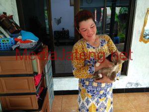 Dewi, salah satu partner Yuli yang memperjuangkan hidup kucing-kucing liar.