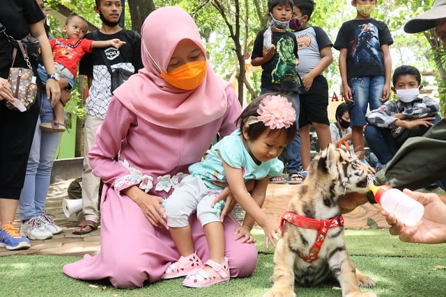 Tunjukkan Jari Bertinta, Pengunjung Semarang Zoo Dapat Diskon 40 Persen