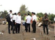 Dirjen Bina Marga: Lusa, Jembatan Spait Harus Bisa Dilalui!