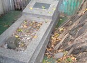 Sakralnya Makam Nyi Kerti Timpang dan Beringin Kecil di Kanjengan