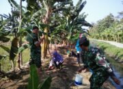 Gandeng Mahasiswa, Koramil 11/Pedurungan Kenalkan Sistem Refugia ke Petani