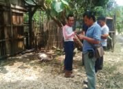 Ditinggal Apitan Kambing Haryono Terbakar