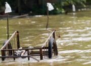 Tanggul Jebol, Warga Desak Pemkot Normalisasi Sungai Beringin