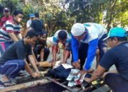 SMP Al Azhar BSB Sembelih 9 Sapi dan 50 Kambing