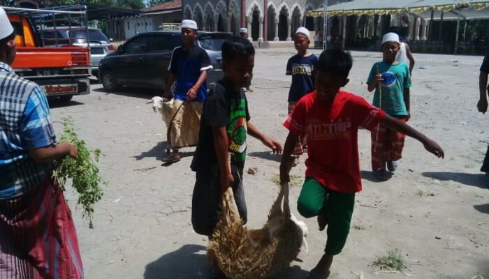 1.270 Hewan Kurban, Hari Ini Penyembelihan Kurban Tahap Dua di Ponpes Miftakhul Huda