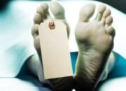 Penjaga Kantor Dishub Kota Ditemukan Meninggal