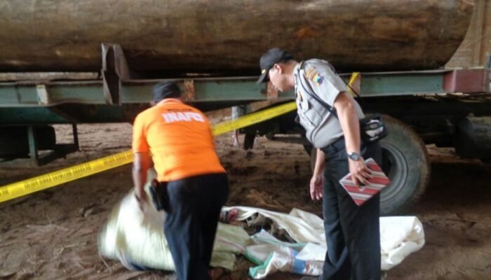 Tertimpa Kayu 4 Meter Supir Truck Tewas