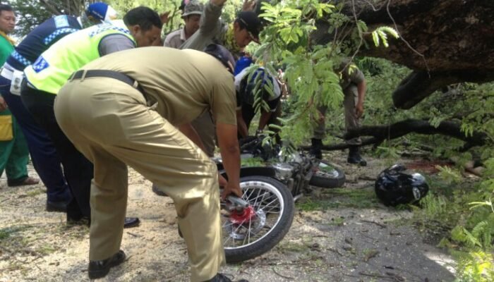 Pohon Tumbang yang Menelan Korban, Pemkot Bisa Dituntut