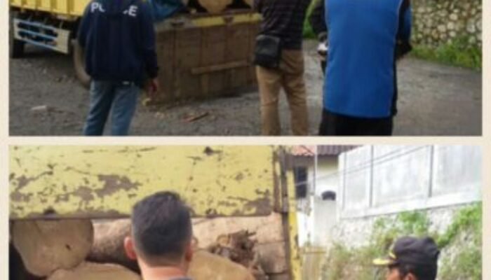 Polisi Hadang Pencurian Kayu, Pelaku Kabur