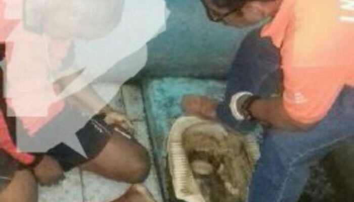 Satu Hari Mendekam di Sel Polsek Mijen, Tahanan Asal Batang Gantung Diri