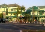 Jauh-jauh dari Arab Saudi, Amal Ali Ingin ke Pengobatan Alternatif di Demak