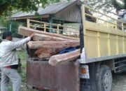Pencuri Kayu Ulung Tertangkap di Grobogan
