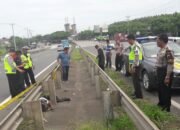 Pria Berlumuran Darah Tewas Di Ujung Tol Kaligawe