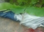 Kecelakaan Lalu Lintas, Seorang Wanita Tewas