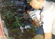 Diduga Hasil Hubungan Gelap, Bayi Perempuan Berusia 10 Hari Dibuang