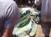 Nekad Terobos Perlintasan Kereta Tanpa Palang Pintu, Pemuda Ini Tewas Tertabrak Argo Muria