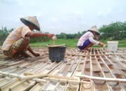 Ajaibnya Sumur Garam Grobogan