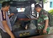Mayat di Desa Megulung Kidul Purworejo Diduga Dibunuh