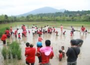 Komunitas Orangtualogy Ajak Anak Menanam Padi