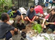 Harga Meroket, Warga Panjangan Ramai-ramai Tanam Cabai
