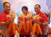 Pertanian Grobogan Dikenalkan Jagung Varietas Baru
