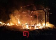 Bakar Bediang Untuk Ternak Sapi, 2 Rumah Ikut Terbakar