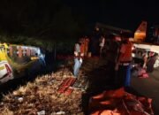 Bus Rombongan Wisata SMPN 1 Grobogan Alami Kecelakaan Di Tol Pejagan