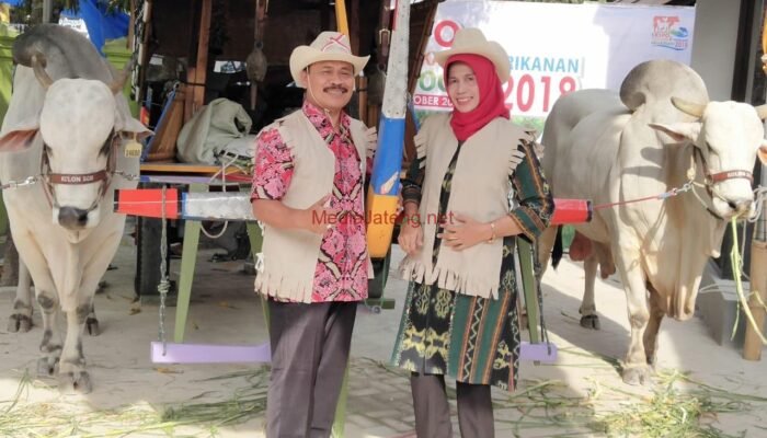wong Grobogan Suka Foto Dengan Sapi di sini