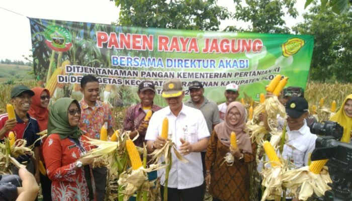 Tegas. Pemerintah Blora Tolak Impor Jagung