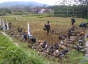 Relawan PMI Diminta Tingkatkan Profesionalisme
