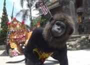 Ingin Lihat Tari Barong, Di Tempat Ini Juga Ada!