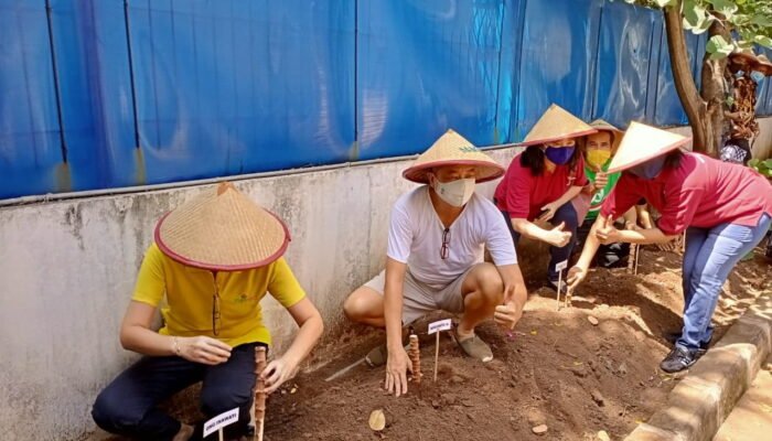 Jaga Ketahanan Pangan, Marimas Ajak Masyarakat Tanam Singkong
