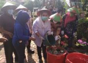 Pemkot Semarang Ajak Warganya Manfaatkan Lahan Kosong Untuk Urban Farming