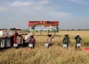Petani Antusias Sambut Kedatangan Kapolda Jateng dan Pangdam IV Diponegoro