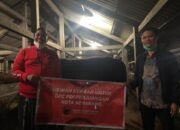 Juliari P Batubara Sumbang Sapi Kurban Untuk Empat DPC PDI Perjuangan