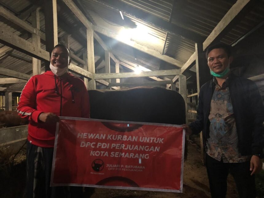 juliari sumbang hewan qurban