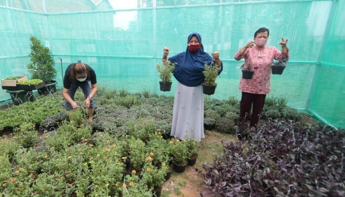 Ratusan Warga Bambankerep Dapat Pelatihan Urban Farming