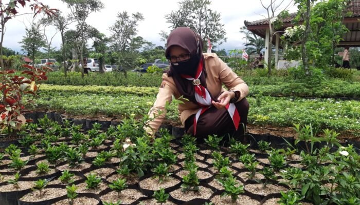 Pembina Putri Banyumas Berlatih  Budidaya Tanaman Hias