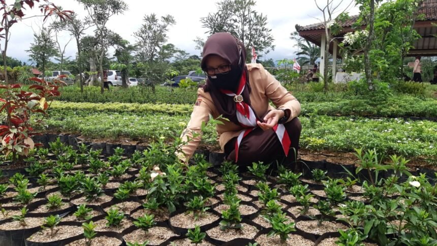 Pembina Putri Banyumas Berlatih Budidaya Tanaman Hias