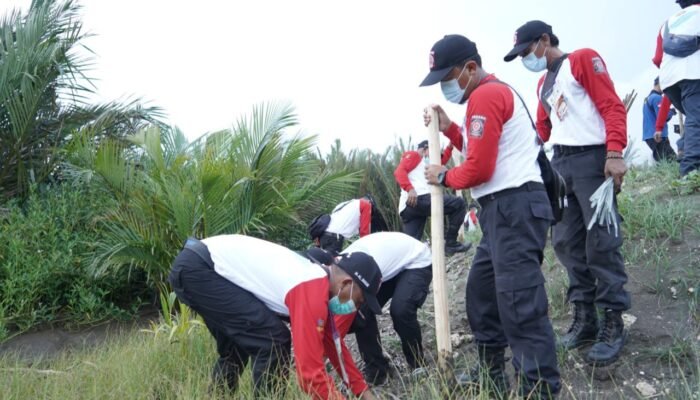 Minimalisir Dampak Megatrush, TAGANA Menanam 2,7 Juta Manggrove