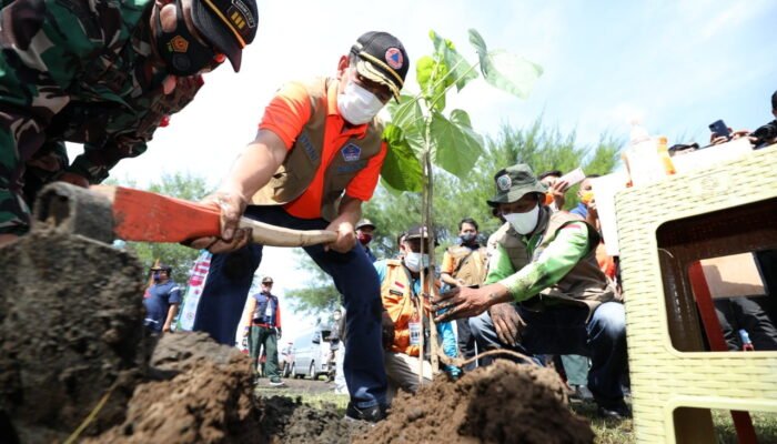 BNPB Tanam Butun dan Palaka di Selatan Jawa
