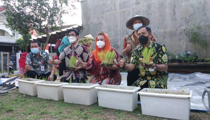 Mba Ita Ajak Warganya Tanam Padi Dalam Pot
