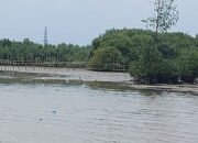 Pemilik Tambak Terdampak Tol Semarang-Demak Tuntut Penyelesaian Ganti Rugi