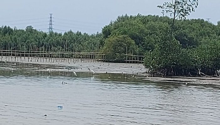 Pemilik Tambak Terdampak Tol Semarang-Demak Tuntut Penyelesaian Ganti Rugi