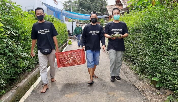 Kurangi Sampah Plastik, Pembagian Daging Kurban Di Ajibarang Gunakan Daun Jati
