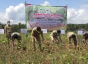 Wabup Sadewo Panen Raya Kedelai di Desa Pasinggangan Banyumas