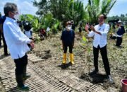 Tanam Mangrove Bersama Masyarakat, Presiden: untuk Antisipasi dan Mitigasi Perubahan Iklim