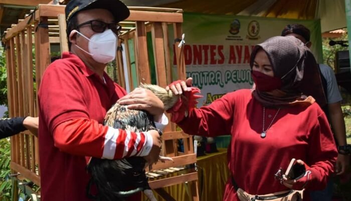 Bupati Banyumas Buka Kontes Ayam Pelung