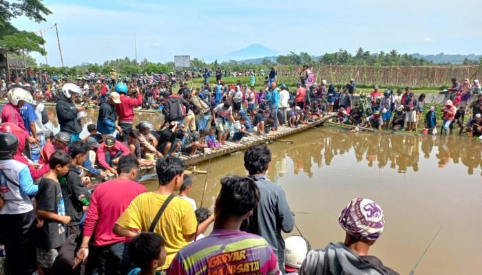 Relawan Ganjar Bersatu Gelar Mancing Gratis! Panitia Sediakan 500 Kilogram Ikan Lele dan 5 Ekor Ikan Master