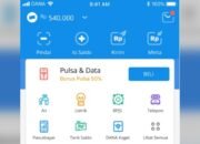 Isi Survei Dapat Uang, Mau? Cek Aplikasi Penghasil Saldo Dana Votee